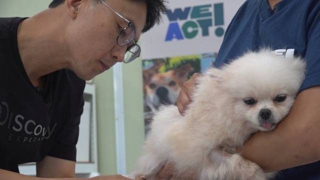 지난 24일, 한재웅 수의사가 경기도 용인 위액트 보호소에서 동물의료 지원활동을 하고 있다. 얼마 전 불법 번식장에서 구조된 개 16마리에게 기본 검진 및 3종 예방접종을 제공했다. 용인=최민석 기자