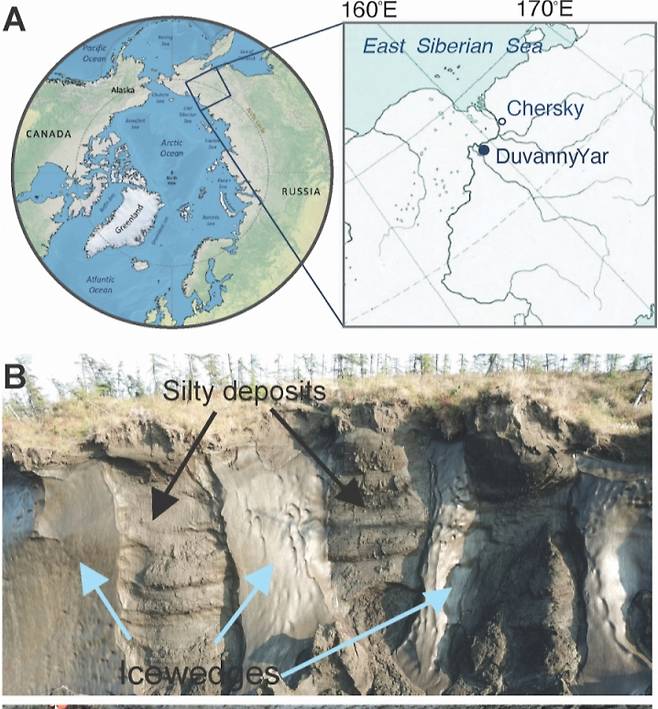 시베리아 동토층이 발견된 지역(A), 시베리아 동토층 퇴적물과 쐐기 얼음(ice wedge)이 있는 지형(B)에서 선충류가 발견됐다. / 사진=플로스 제네틱스(Plos Genetics)
