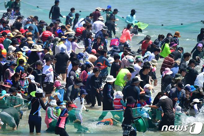 30일 경북 포항시 남구 구룡포해수욕장에서 열린 오징어맨손잡기 체험행사장에서 피서객들이 출발 신호에 맞춰 바다로 뛰어들고 있다.2023.7.30/뉴스1 ⓒ News1 최창호 기자