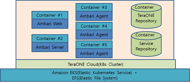 TeraONE Cluster on AWS