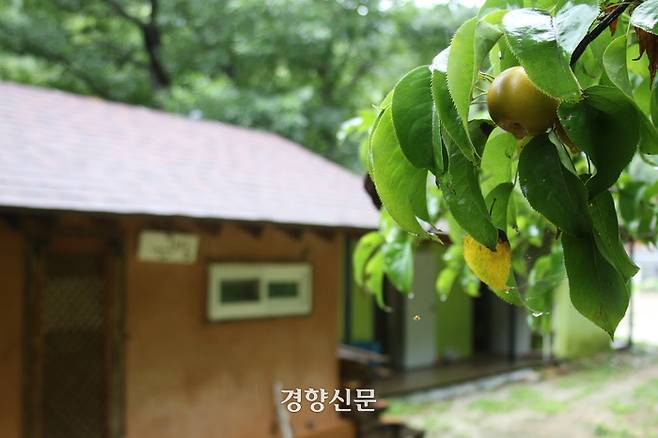 지난 24일 오전 전북 남원 사회연대쉼터 ‘인드라망’ 나무 뒤로 쉼터 이용객이 머무는 흙집이 보이고 있다. 조해람 기자