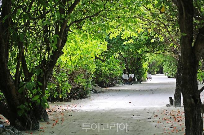 자연 그대로의 풍경이 끝도 없이 펼쳐진다.&nbsp;(사진. 김관수)