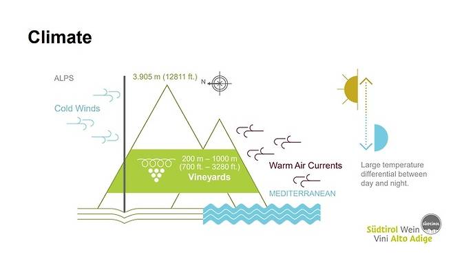 알토 아디제 기후. 알토아디제와인협회