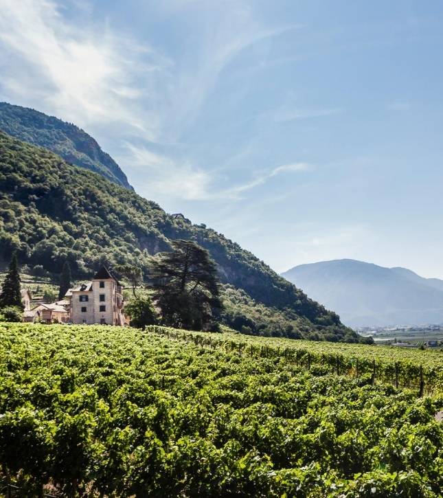 Terlano. 알토아디제와인협회