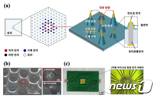 3차원 마이크로 탐침 전극 개념도 및 전자현미경 이미지.(단국대 제공)