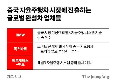 김영희 디자이너