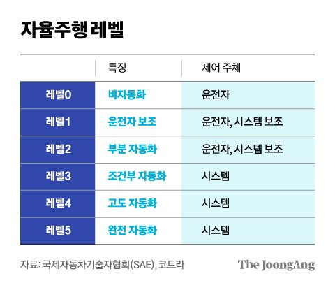 김영희 디자이너