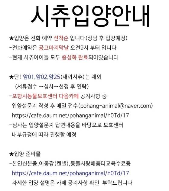 이번에 구조된 시츄 48마리를 보호하고 있는 포항시 동물보호센터에서는 공식 소셜미디어에' 시츄 입양 공고문'을 게시했다.〈사진=포항시 동물보호센터 인스타그램 캡처〉