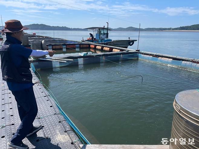 3일 충남 서산시 부석면 천수만 B지구 해상에 있는 한 가두리 양식장에서 김현진 어촌계장이 고수온대비 대책 상황을 설명하고 있다. 이정훈 기자