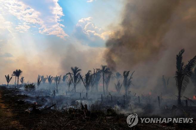 브라질 아마존  [AFP 연합뉴스 자료사진. 재판매 및 DB 금지]