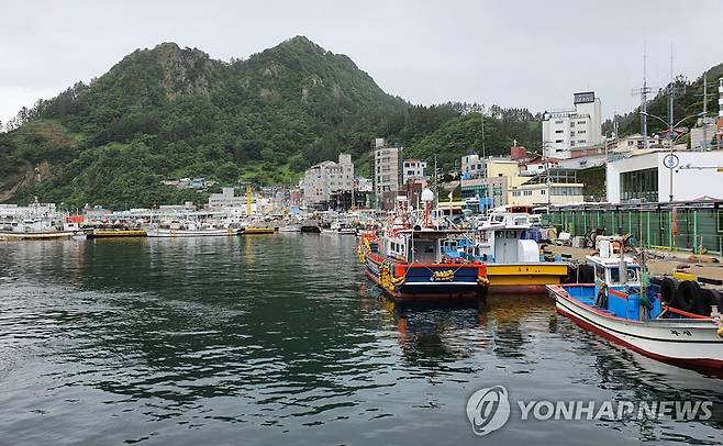 울릉 저동항 전경 [연합뉴스 자료사진]