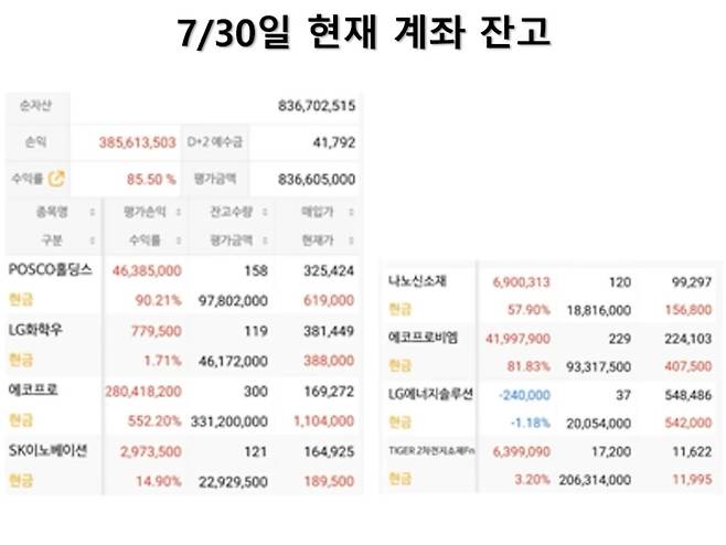 '배터리아저씨'로 불리는 박순혁 전 이사가 공개한 주식 잔고(지난 7월30일 기준)/유튜브 채널 '웅달책방' 화면캡쳐.