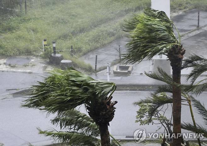 강한 바람 부는 오키나와 (나하[일본] 교도·AP=연합뉴스) 제6호 태풍 '카눈'이 다시 접근한 일본 오키나와에 5일 강한 바람이 불고 있다.
