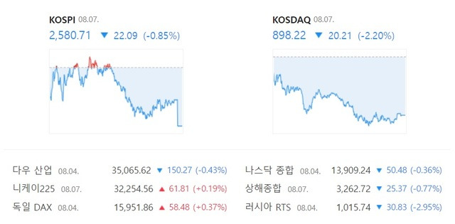 7일 코스닥은 전 거래일 대비 20.21포인트 내린 898.22에 장을 마감했다. /네이버 증권 캡