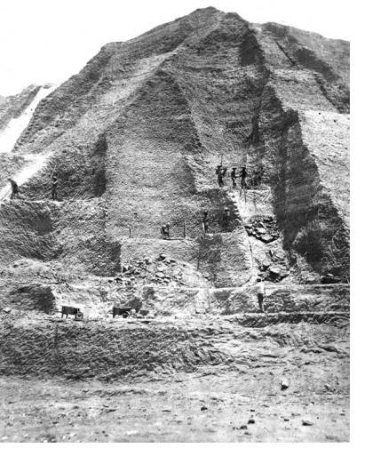 19세기말 페루에서 구아노를 채취하는 모습