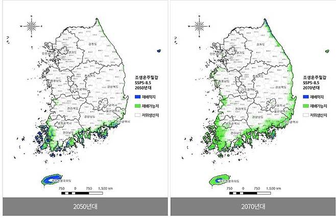 농촌진흥청에 따르면 2050년부터 강원 해안가에서 감귤 재배가 가능해진다. 기후변화 시 감귤 재배 지역 변화 예정 모습. [국립원예특작과학원 온난화대응농업연구소 제공]