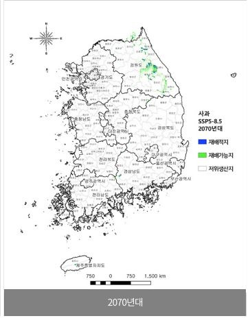 2070년대가 되면 대한민국 사과 재배지가 상당히 줄어들 예정이다. [국립원예특작과학원 온난화대응농업연구소 제공]