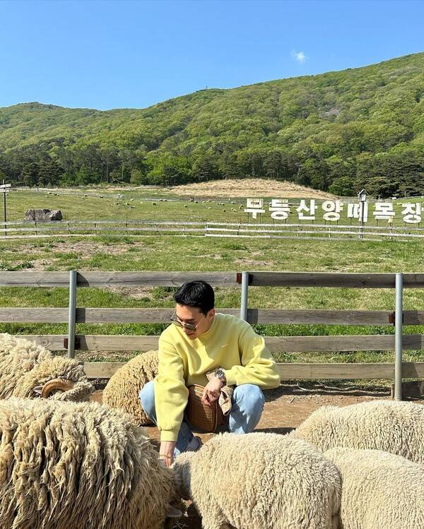 화순 무등산양떼목장 @armand__de