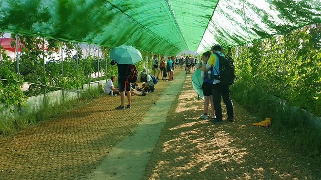 잼버리장 곳곳에 설치돼 있는 그늘 쉼터/사진= 유동주 기자