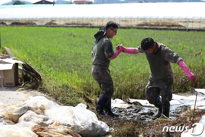 육군 제35사단 장병들이 20일 호우피해 지역인 익산 망성면 일대 복구작전에 힘쓰고 있다. 침수 농경지 기름 제거 작업을 하던 중 한 용사가 전우의 손을 잡아 주고 있다.(35사단 제공)2023.7.20/뉴스1