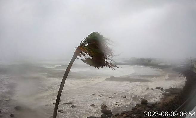 태풍 카눈으로 해변에 비바람이 몰아치며 나무가 부러질 듯 휘날리고 있다. /가고시마현 쿠라사키시 한 호텔 라이브 카메라 캡처