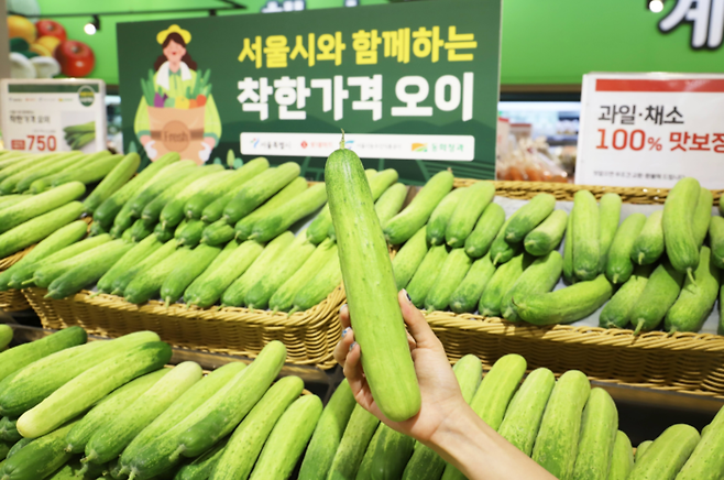 서울시가 밥상물가 관리를 위해 오이 3만개를 10~12일 서울 시내 롯데마트 14곳에서 할인판매한다고 9일 밝혔다. 롯데마트 제공