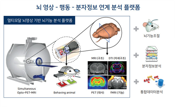 뇌 연구 실용화 연구기반 구축 관련 도식. 대구시 제공