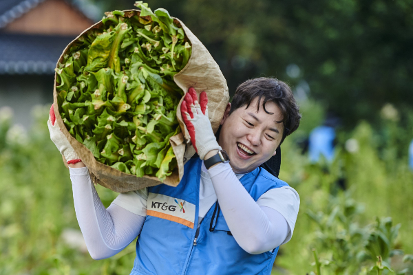 KT&G가 지난 4일 충남 서산시 운산면에서 잎담배 수확 봉사활동을 진행했다. 잎담배 농가 수확 봉사활동 사진. /사진=KT&G