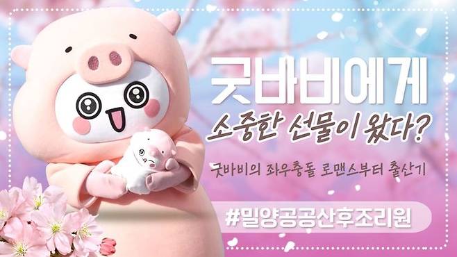 밀양공공산후조리원 유튜브 홍보영상 '굿바비의 좌충우돌 로맨스부터 출산기'.  *재판매 및 DB 금지