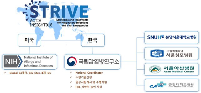 스트라이브(STRIVE)는 미국 국립보건원(NIH)이 주관하는 임상 지원 프로그램으로, 한국과 미국 외에도 덴마크·영국·호주 등 24개 국가의 232개 기관이 참여할 예정이다. 우선 NIAID는 코로나19와 같은 급성 중증호흡기 감염증으로 인한 팬데믹 대비 치료제 개발을 위한 임상시험을 시작한다./질병청