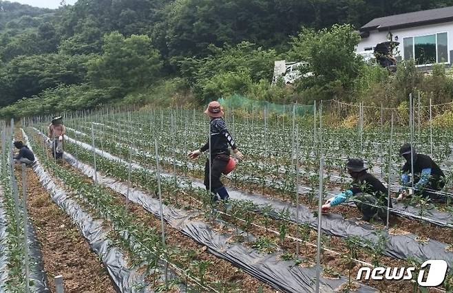 외국인 계절근로자.(자료사진)/뉴스1