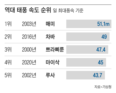 그래픽=조선디자인랩 권혜인