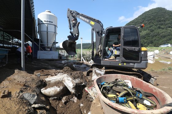 강풍과 호우를 동반한 제6호 태풍 '카눈'이 할퀴고 지나간 11일 오전 대구 군위군 효령면 병수리에서 농민들이 복구작업을 벌이고 있다. 뉴스1