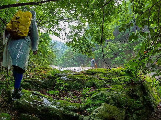 아침가리 계곡 트레킹 길[사진/백승렬 기자]
