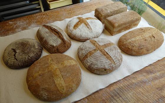 오븐에서 갓 나온 통밀·통호밀 사워도우와 캉파뉴 빵. 표면의 X자 모양은 빵이 잘 부풀어 속살이 부드럽도록 칼집을 낸 흔적이다. [사진 이택희]