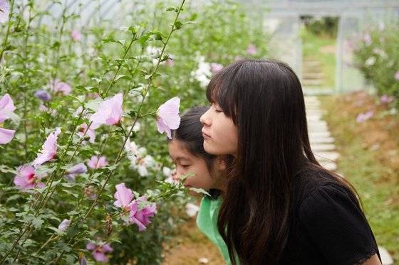 콜마 무궁화 역사문화관 건물 뒤뜰에 심어진 무궁화 묘목을 구경하는 소중 학생기자단.