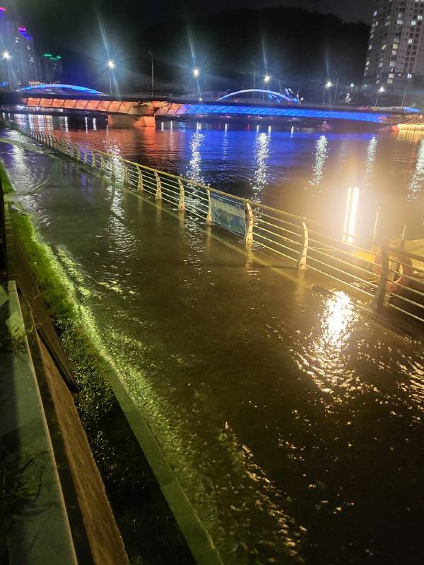 15일 부산 해운대구 APEC나루공원 인근 수영강이 범람하는 일이 일어났다. 독자제보