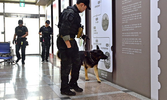 폭파 예고 신고가 접수돼 16일 대구시청 동인청사에서 경찰특공대원과 수색견이 폭발물 수색작업을 벌이고 있다. [사진=뉴시스]