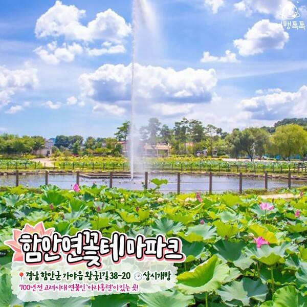 국내 연꽃 명소 추천 / ⓒ여행톡톡