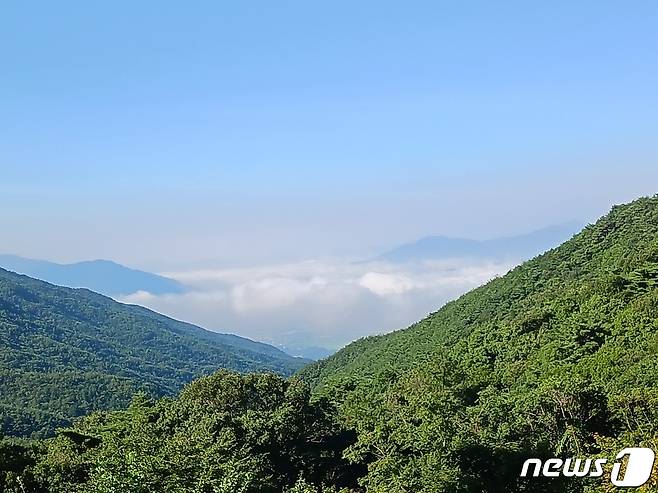 물안개를 피워내는 섬진강. 맑은 날은 연기암에서  또렷히 보인다며 연기암에 머무는 처사께서 아쉬워한다. ⓒ 뉴스1