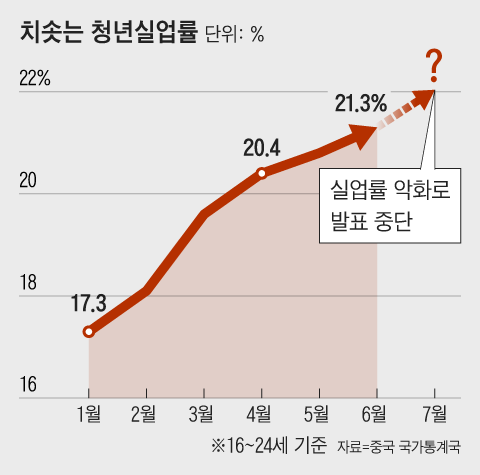 그래픽=조선디자인랩