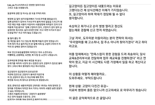 인스타그램에 반려묘 학대 사실을 알리며 도와달라고 요청한 글