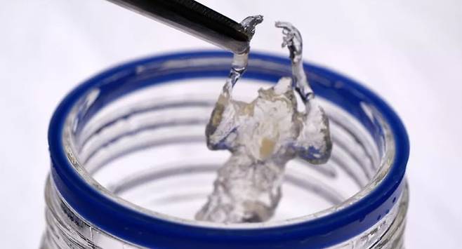 투명하게 변한 쥐/사진=BBC 기사 이미지 갈무리