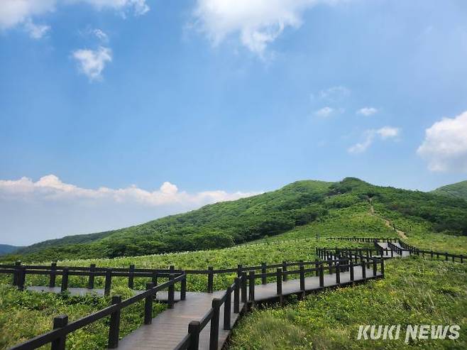 산림유전자원보호구역_인제 곰배령.