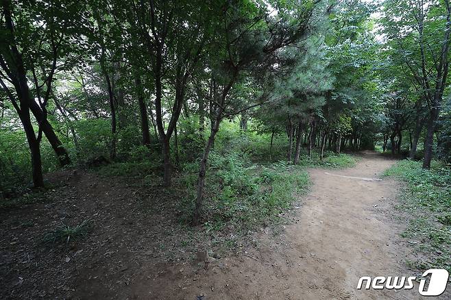 성폭행 사건이 발생한 신림동 산속 둘레길(공동취재)2023.8.18/뉴스1 ⓒ News1 이동해 기자