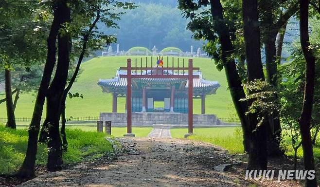 조선후기 제18대 현종과 비 명성왕후가 잠들어 있는 '숭릉'&nbsp;전통 숲이 잘 보존된 동구릉을 비롯해 왕릉은 조류를 비롯해 동식물이 안심하고 살아갈 수 있는 생태보고(生態寶庫)이다.