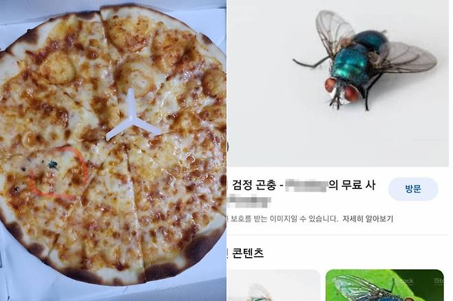 벌레가 나와 결제 취소를 요구하며 보내온 합성사진(왼쪽)과 검색 사이트에서 찾은 원본 추정 파리 사진. /사진=온라인 커뮤니티