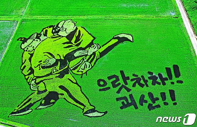 충북 괴산 문광저수지 인근에 조성한 유색벼 논그림.(괴산군 제공)/뉴스1