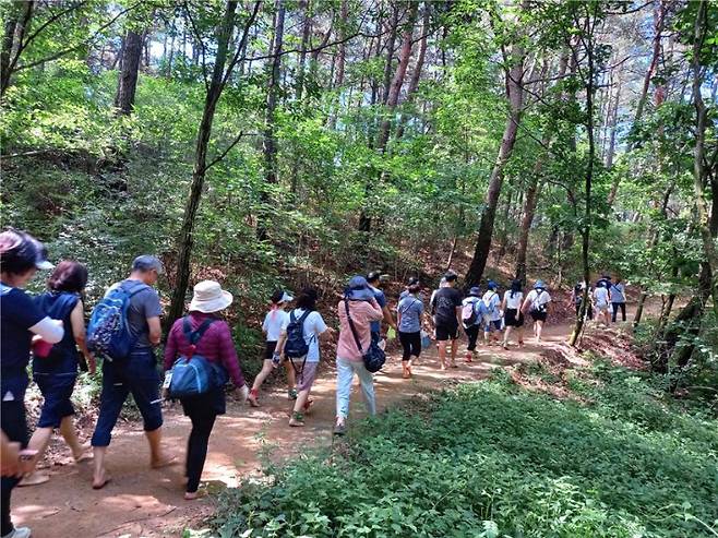 원주 숲길을 맨발로 걷고 있는 시민들. 원주시 제공