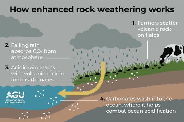 ‘암석 풍화 촉진(ERW·Enhanced Rock Weathering)’ 은 수십만년에 걸친 암석의 풍화 작용을 수십년 단위로 앞당기는 기술로 지구공학적인 접근법 가운데 하나다. 그림은 ERW 원리. ①화강암(현무암)을 논밭에 뿌린다. ②대기권에서 기체 상태로 존재하는 이산화탄소가 빗물에 녹는다. ③산성비가 화강암을 만나 화학반응을 일으키는데 이 과정에서 이산화탄소가 현무암에 흡착돼 탄산염암이 형성된다. ④탄산염암은 바다로 흘러 들어가 해양 산성화를 방지한다. 미국 지구물리학회